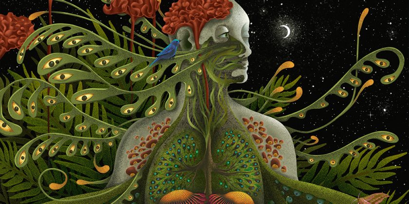 Body – illustration