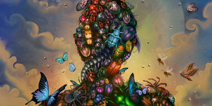 Ecosystem – illustration