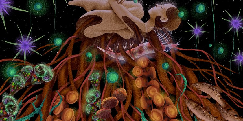 Ground – illustration