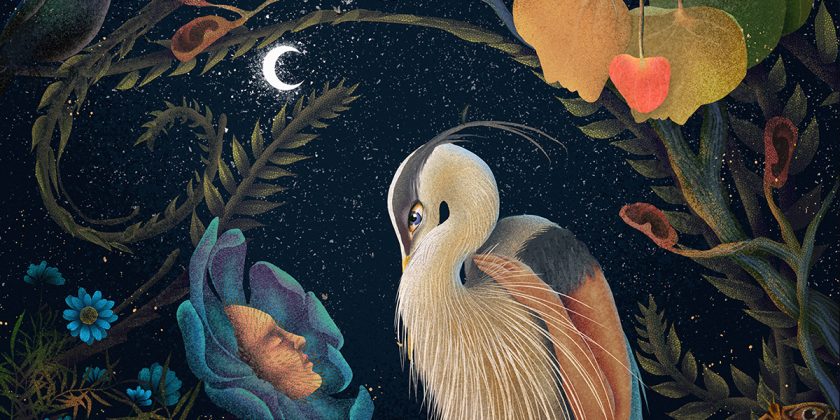 Insomnia – illustration