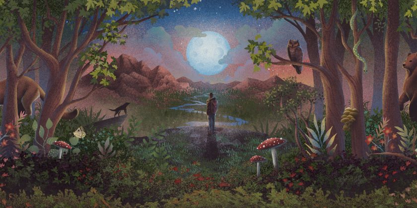 Wild Within – hero banner illustration