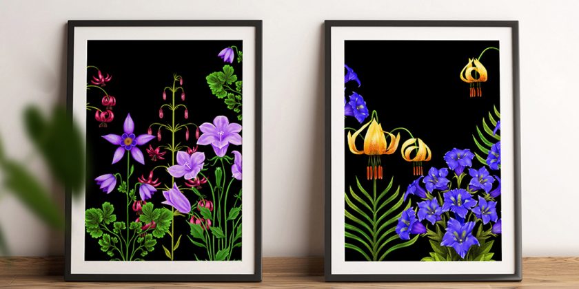 Endemic Flora of Bosnia and Herzegovina – illustration series