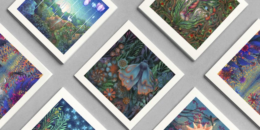 Garden Curiosities – illustration series