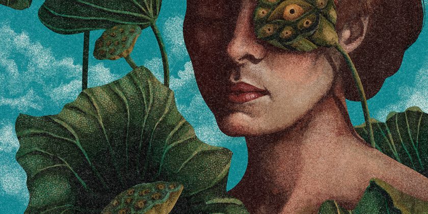 Gaze – illustration