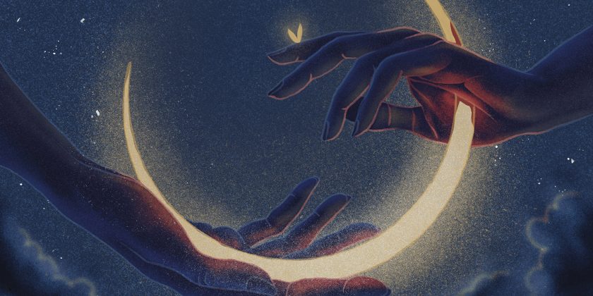 Nocturnal Butterfly – illustration